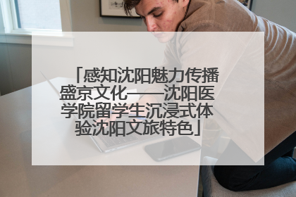 感知沈阳魅力传播盛京文化——沈阳医学院留学生沉浸式体验沈阳文旅特色