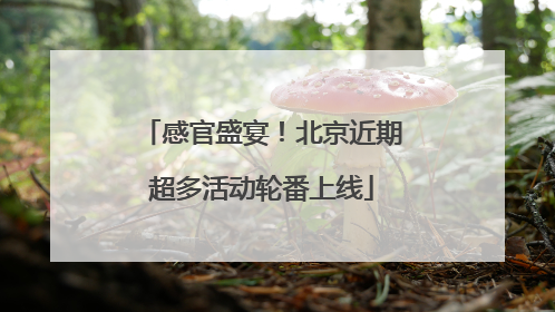 感官盛宴！北京近期超多活动轮番上线