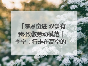感恩奋进 双争有我·致敬劳动模范｜李宁：行走在高空的“电网卫士”