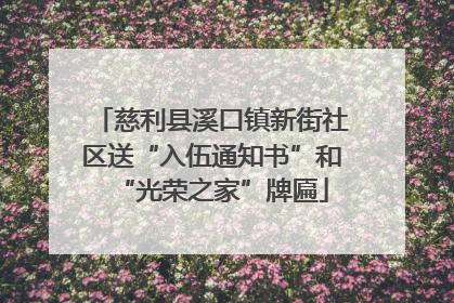 慈利县溪口镇新街社区送“入伍通知书”和“光荣之家”牌匾