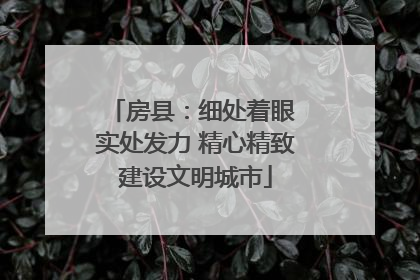 房县：细处着眼 实处发力 精心精致建设文明城市