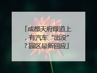 成都天府绿道上，有汽车“出没”？园区最新回应