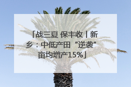 战三夏 保丰收丨新乡：中低产田“逆袭” 亩均增产15%