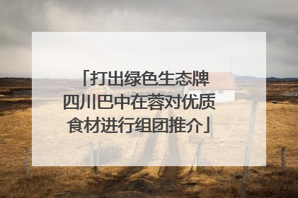 打出绿色生态牌 四川巴中在蓉对优质食材进行组团推介