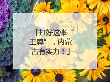 打好这张“王牌”，内蒙古有实力！