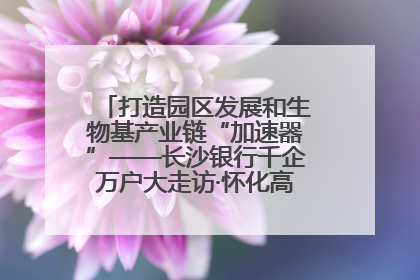 打造园区发展和生物基产业链“加速器”——长沙银行千企万户大走访·怀化高新区、生物基产业链专场活动举行