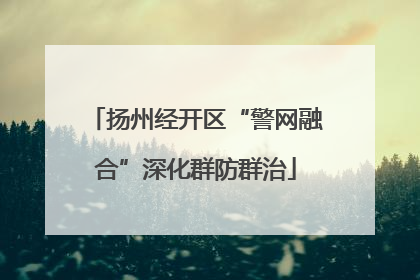 扬州经开区“警网融合”深化群防群治