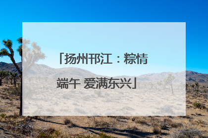 扬州邗江：粽情端午 爱满东兴