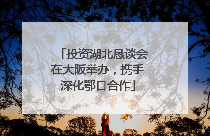 投资湖北恳谈会在大阪举办，携手深化鄂日合作