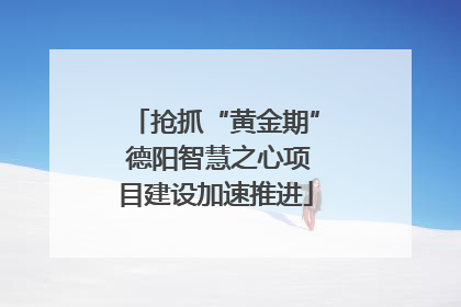 抢抓“黄金期” 德阳智慧之心项目建设加速推进