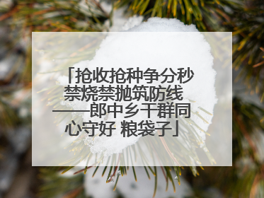 抢收抢种争分秒 禁烧禁抛筑防线——郎中乡干群同心守好 粮袋子