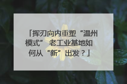 挥刃向内重塑“温州模式” 老工业基地如何从“新”出发？