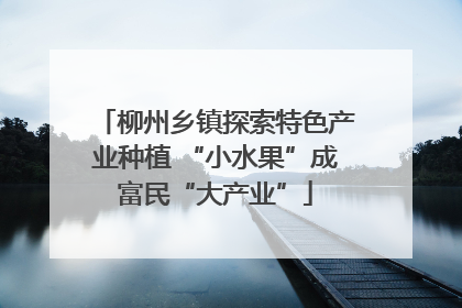 柳州乡镇探索特色产业种植 “小水果”成富民“大产业”