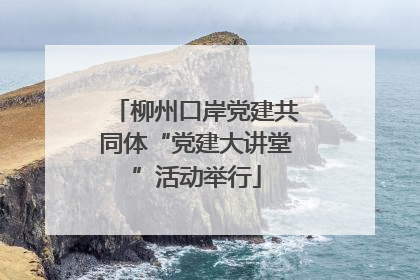 柳州口岸党建共同体“党建大讲堂”活动举行