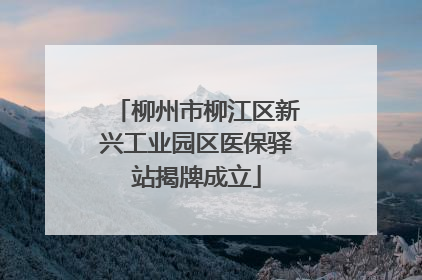 柳州市柳江区新兴工业园区医保驿站揭牌成立
