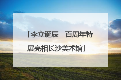 李立诞辰一百周年特展亮相长沙美术馆