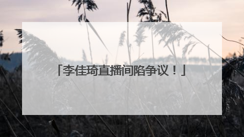 李佳琦直播间陷争议！