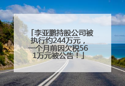 李亚鹏持股公司被执行约244万元，一个月前因欠税561万元被公告！