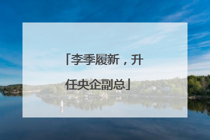 李季履新，升任央企副总