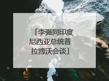 李强同印度尼西亚总统普拉博沃会谈