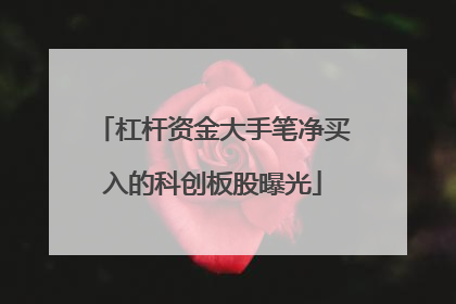 杠杆资金大手笔净买入的科创板股曝光
