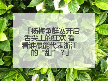 杨梅争鲜赛开启舌尖上的狂欢 看看谁最能代表浙江的“甜”？