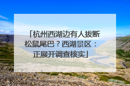 杭州西湖边有人拔断松鼠尾巴？西湖景区：正展开调查核实