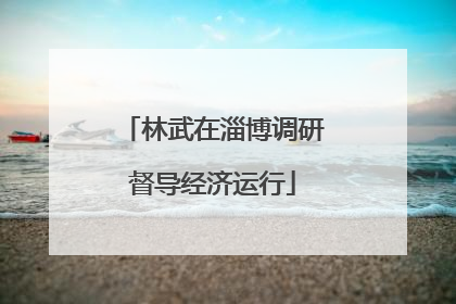林武在淄博调研督导经济运行