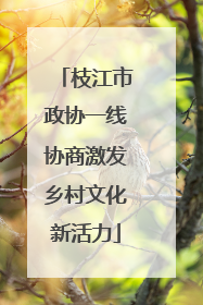 枝江市政协一线协商激发乡村文化新活力