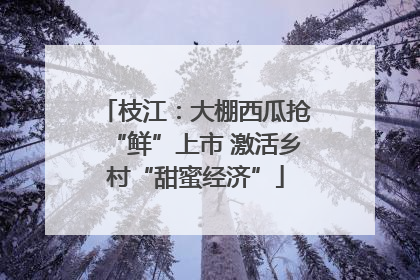 枝江：大棚西瓜抢“鲜”上市 激活乡村“甜蜜经济”