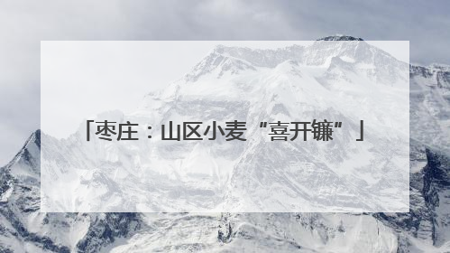 枣庄：山区小麦“喜开镰”