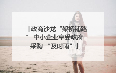 政商沙龙“架桥铺路” 中小企业享受政府采购 “及时雨”