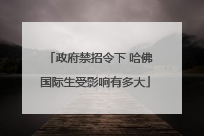 政府禁招令下 哈佛国际生受影响有多大