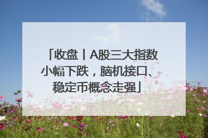 收盘丨A股三大指数小幅下跌，脑机接口、稳定币概念走强