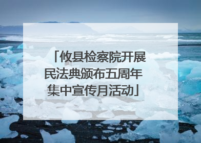攸县检察院开展民法典颁布五周年集中宣传月活动