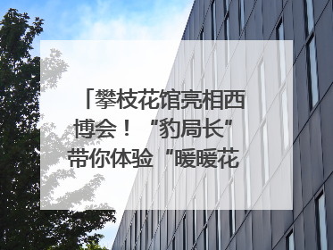 攀枝花馆亮相西博会！“豹局长”带你体验“暖暖花城”独特魅力｜西博视界