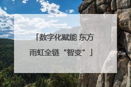 数字化赋能 东方雨虹全链“智变”