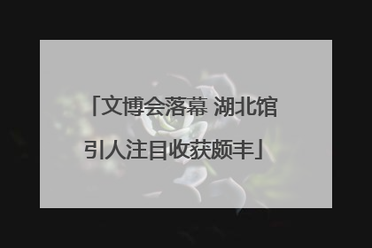 文博会落幕 湖北馆引人注目收获颇丰