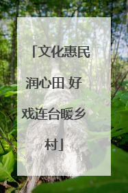 文化惠民润心田 好戏连台暖乡村