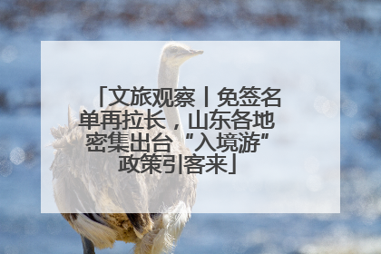 文旅观察丨免签名单再拉长，山东各地密集出台“入境游”政策引客来