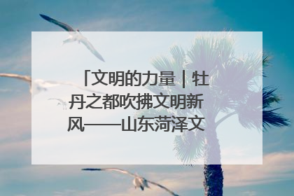 文明的力量｜牡丹之都吹拂文明新风——山东菏泽文明创建一线见闻