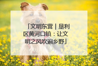文明东营｜垦利区黄河口镇：让文明之风吹遍乡野