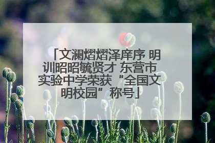 文澜熠熠泽庠序 明训昭昭毓贤才 东营市实验中学荣获“全国文明校园”称号