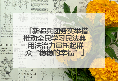 新疆兵团务实举措推动全民学习民法典 用法治力量托起群众“稳稳的幸福”