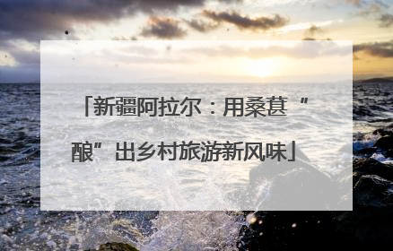 新疆阿拉尔：用桑葚“酿”出乡村旅游新风味