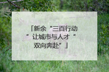 新余“三百行动”让城市与人才“双向奔赴”