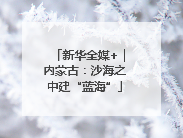 新华全媒+｜内蒙古：沙海之中建“蓝海”