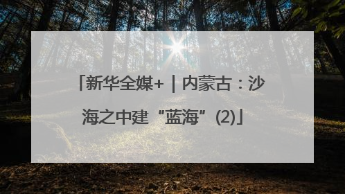 新华全媒+｜内蒙古：沙海之中建“蓝海”(2)
