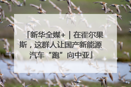 新华全媒+｜在霍尔果斯，这群人让国产新能源汽车“跑”向中亚