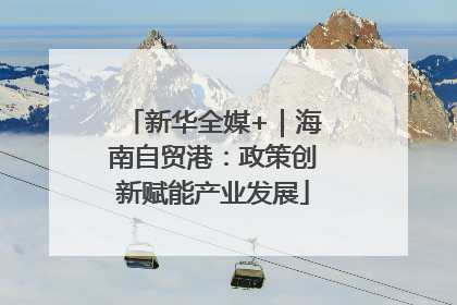 新华全媒+｜海南自贸港：政策创新赋能产业发展